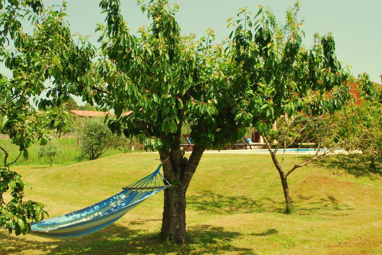 Villa Dorina Barban Exterior photo