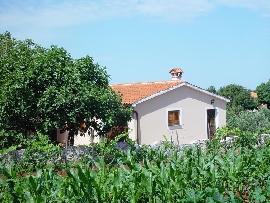 Villa Dorina Barban Room photo